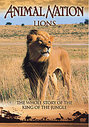 Animal Nation - Lions - The Whole Story