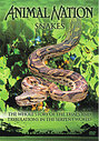 Animal Nation - Snakes - The Whole Story