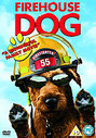 Firehouse Dog