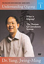 Understanding Qigong Vol.1