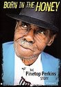 Pinetop Perkins - Born In The Honey