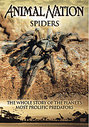 Animal Nation - Spiders - The Whole Story