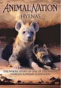 Animal Nation - Hyenas - The Whole Story