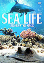 Sea Life - Underwater Magic