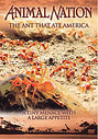 Animal Nation - The Ant That Ate America