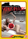 Venus In Furs