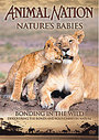 Animal Nation - Nature Babies - Bonding In The Wild