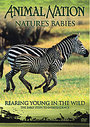 Animal Nation - Nature Babies - Rearing Young In The Wild