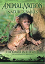 Animal Nation - Nature Babies - The Family In The Wild