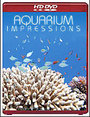 Aquarium Impressions