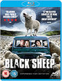 Black Sheep