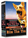 Adventures Of Rin Tin Tin - Complete, The (Box Set)