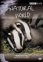 Natural World - Badgers - Secrets Of The Set