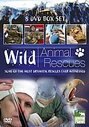 Wild Animal Rescues