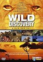 Wild Discovery (Box Set)