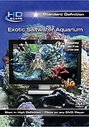 Exotic Saltwater Aquarium