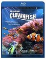 Plasma Art - Clownfish