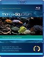 Marine Aquarium