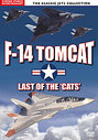 F-14 Tomcat - Last Of The Cats