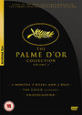 Palm d'Or Collection, The