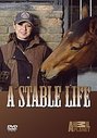 Stable Life - Series 1, A