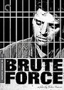 Brute Force