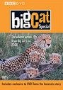 Big Cat Diary Special