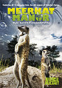 Meerkat Manor - Series 4 - Complete (Box Set)