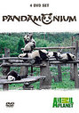 Pandamonium