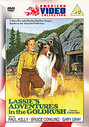 Lassie's Adventures In The Goldrush