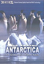 Antarctica - An Adventure Of A Different Nature