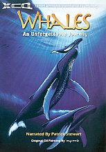 Whales - An Unforgettable Journey