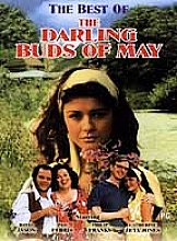 Darling Buds Of May, The - The Best Of The Darling Buds Of May