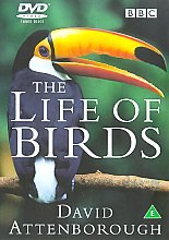 David Attenborough's Life Of Birds