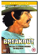 Breakout (Wide Screen)