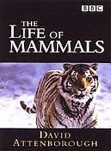 Life Of Mammals, The - Complete