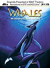 Whales - An Unforgettable Journey (XCQ)