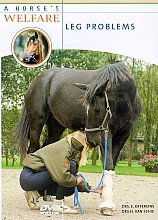 Horse's Welfare - Leg Problems