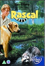 Rascal