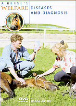 Horse's Welfare - Diseases And Diagnosis