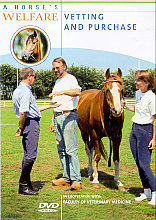 Horse's Welfare - Vetting And Purchase