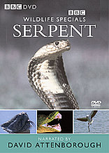 Wildlife Special - Serpent