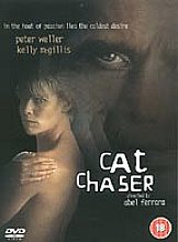 Cat Chaser