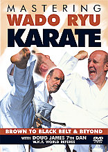 Mastering Wado-Ryu Karate