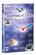 Journey Of Life