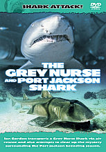 Shark Attack - The Grey Nurse And Port Jackson Shark