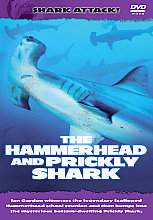 Shark Attack - The Hammerhead And Prickly Shark