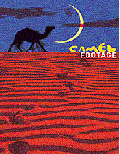 Camel Footage