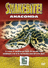 Snake Bite - Anaconda