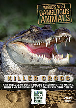 World's Most Dangerous Animals - Killer Crocs